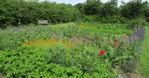 The Organic Garden    